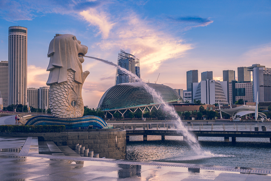How To Pursue A Career In Tourism Now That It Has Returned